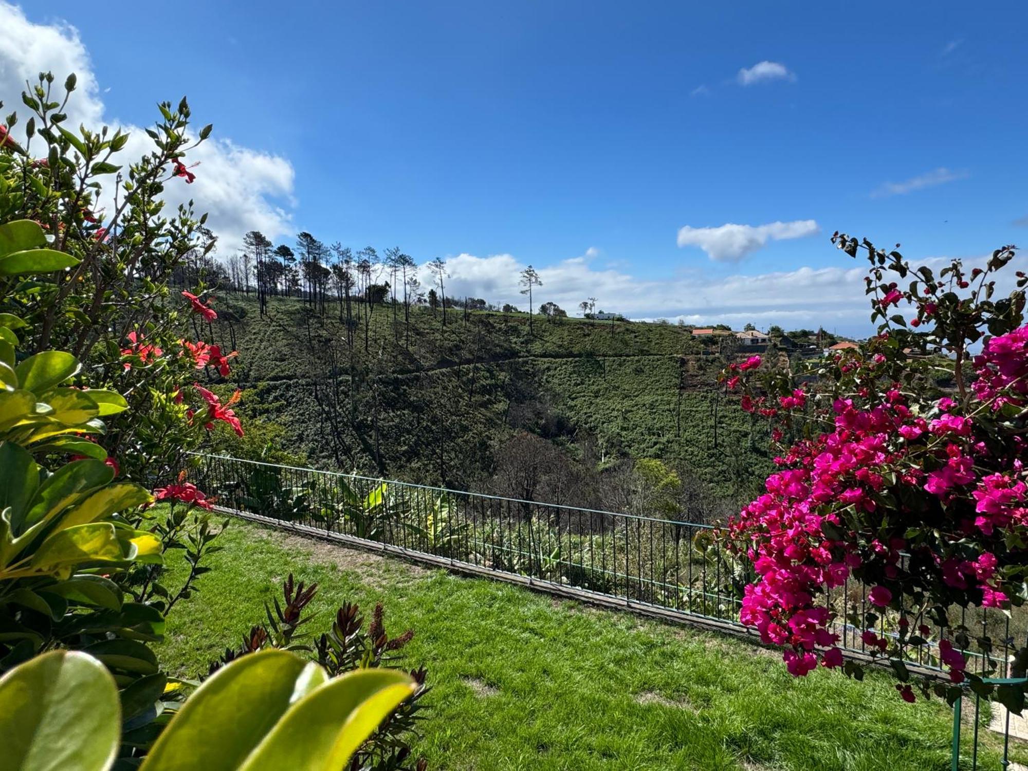 Panoramablick - 3-Bett Villa Mit Sonnenterrassen Fajã da Ovelha Extérieur photo